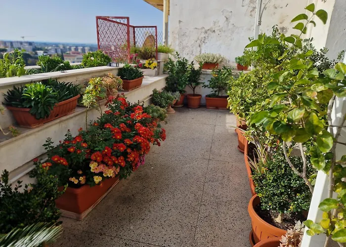 Couette-café Ganaj - Corso Italia 89 -